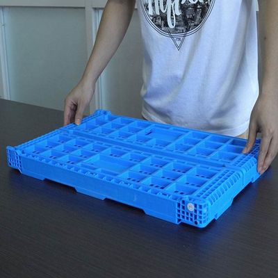品質 多数のサイズの折りたたみの緑のスーパーマーケットのためのプラスチック フルーツの木枠 工場