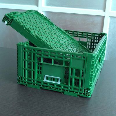 品質 大きい出された折り畳み式のプラスチック野菜木枠緑40リットルの 工場